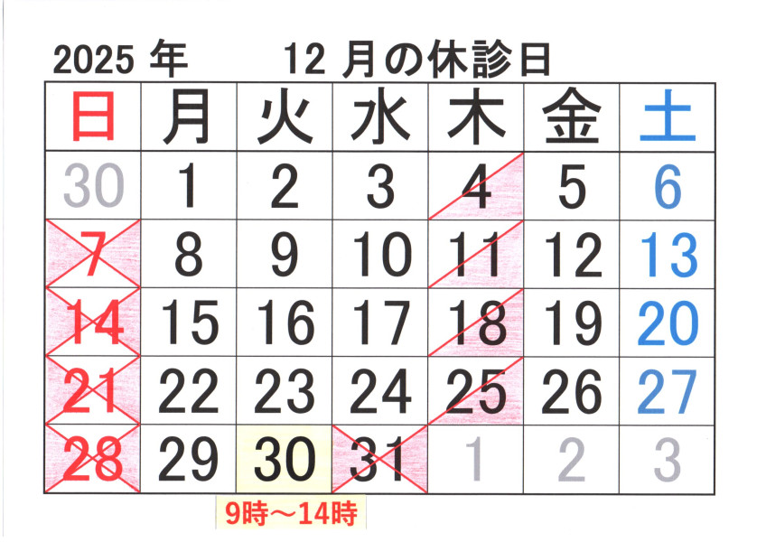 img20251113_10011202